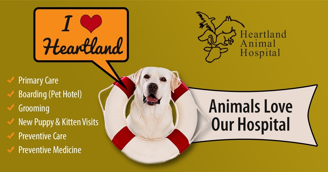 heartland animal hospital